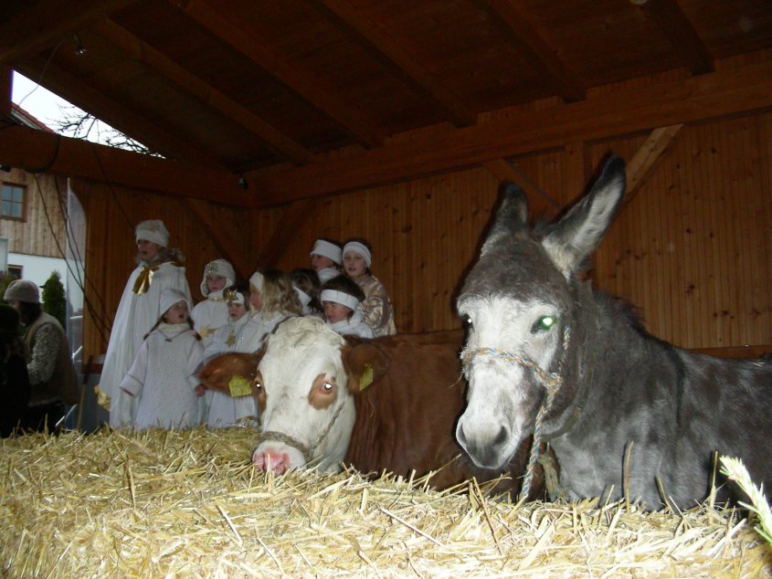 Krippenspiel2008